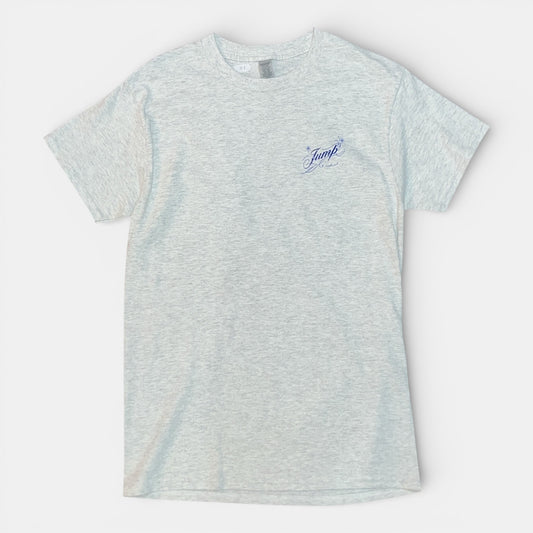 TEE SHIRT LAROSA gris