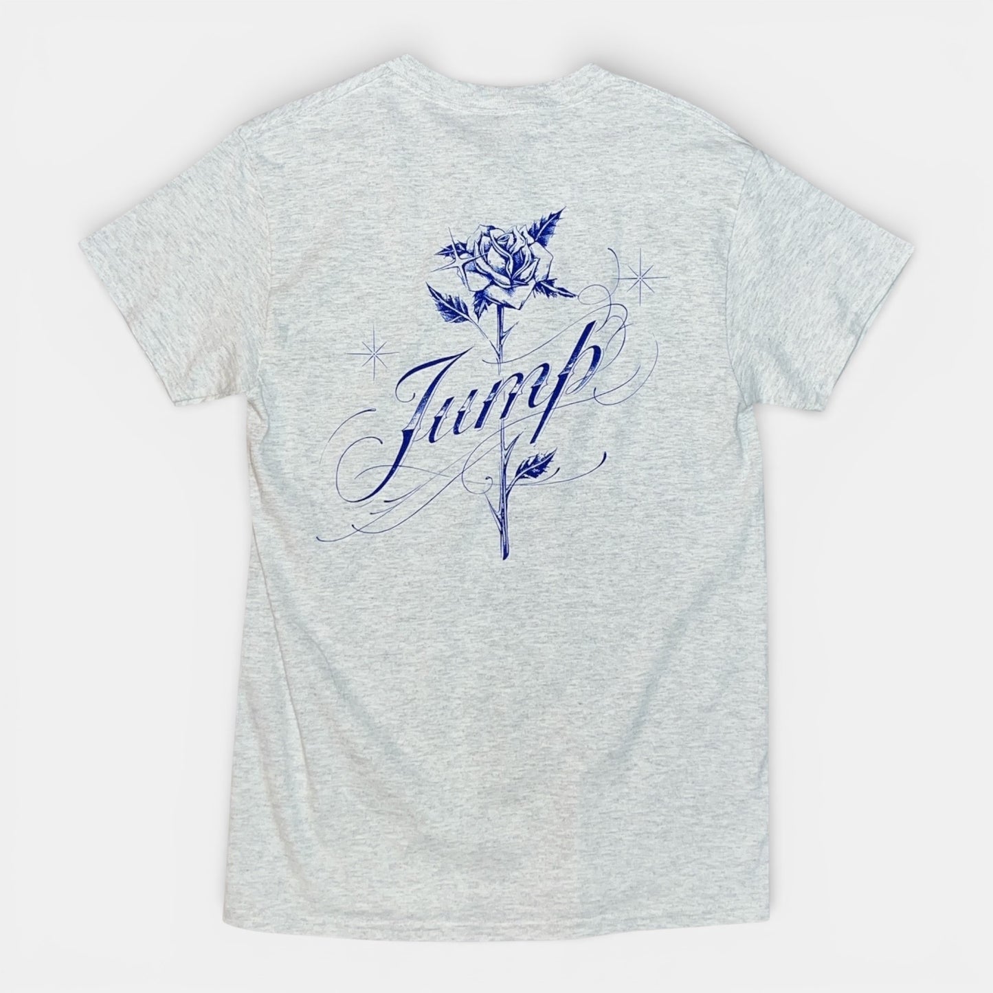 TEE SHIRT LAROSA gris